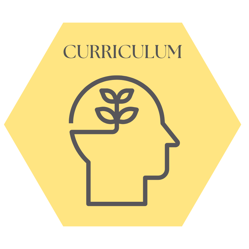 Emergent and Play-Based Curriculum